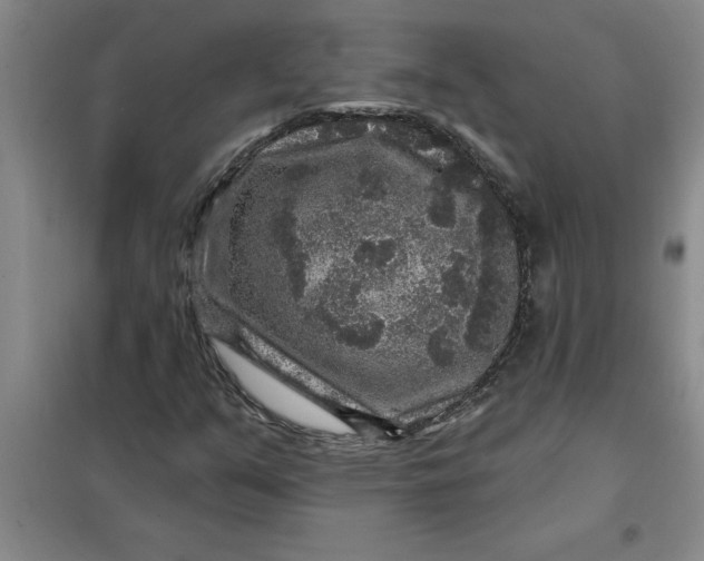 X0000098151351200805011358