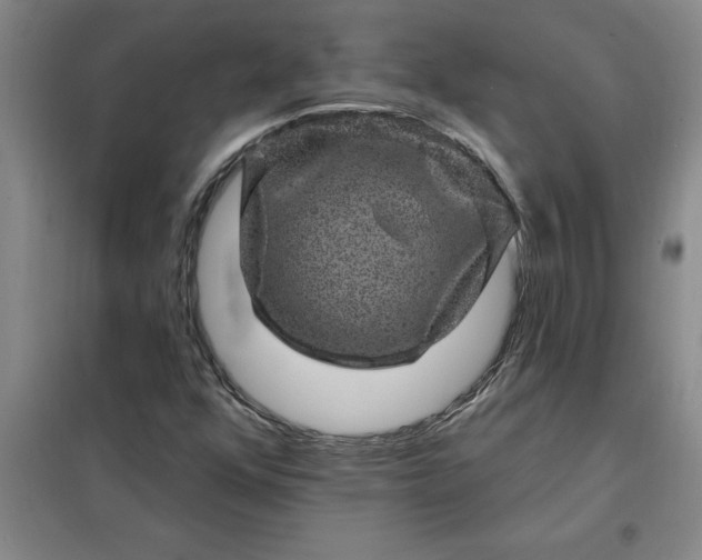 X0000098151352200805011358