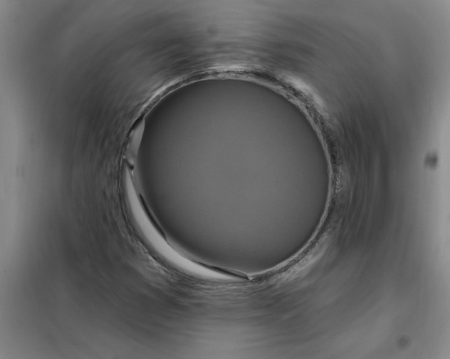 X0000098151353200805011358