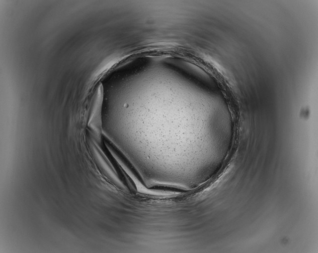X0000098151354200805011358