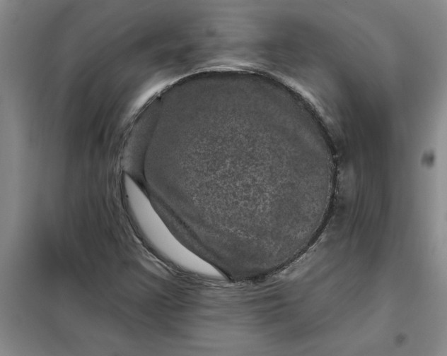 X0000098151355200805011358