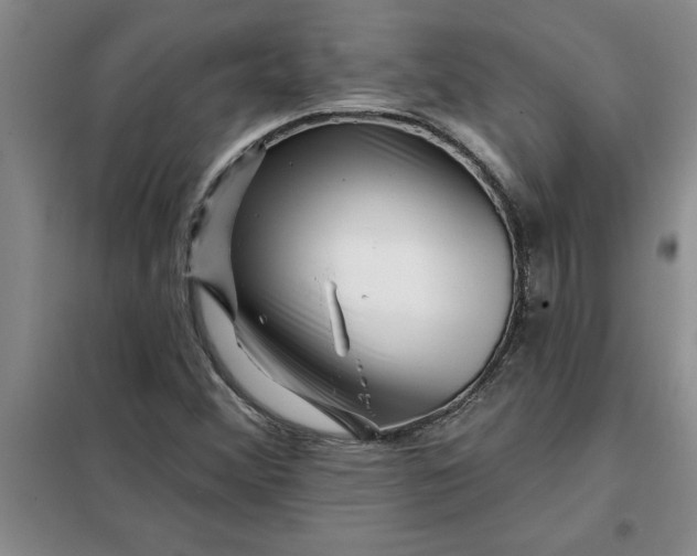 X0000098151356200805011358