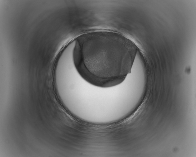 X0000098151357200805011358