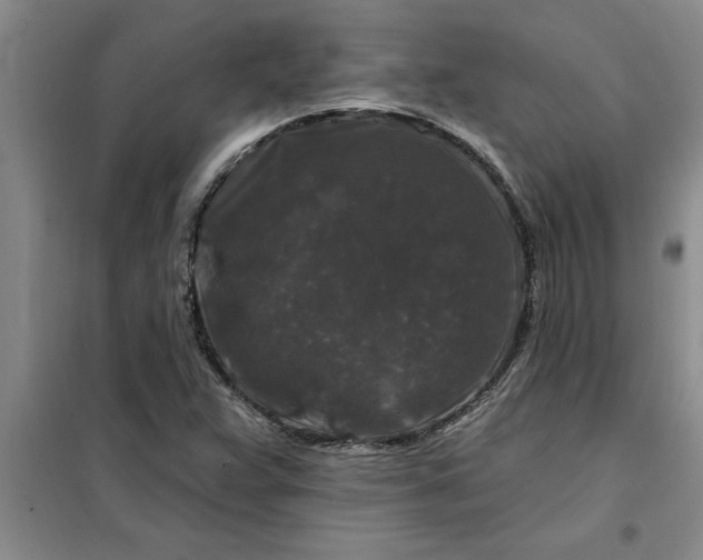 X0000098151359200805011358