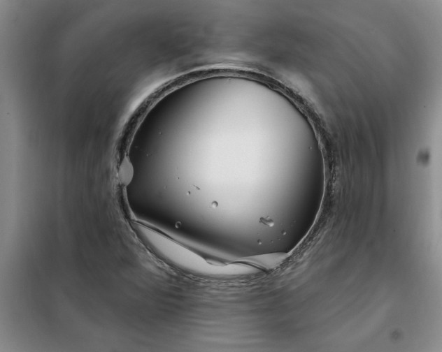 X0000098151360200805011358