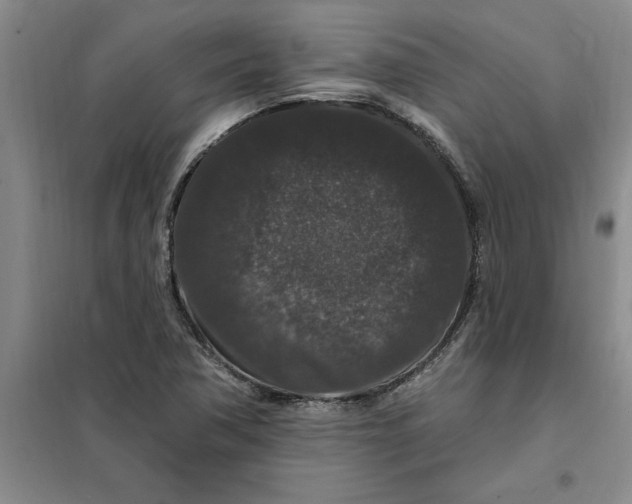 X0000098151362200805011358