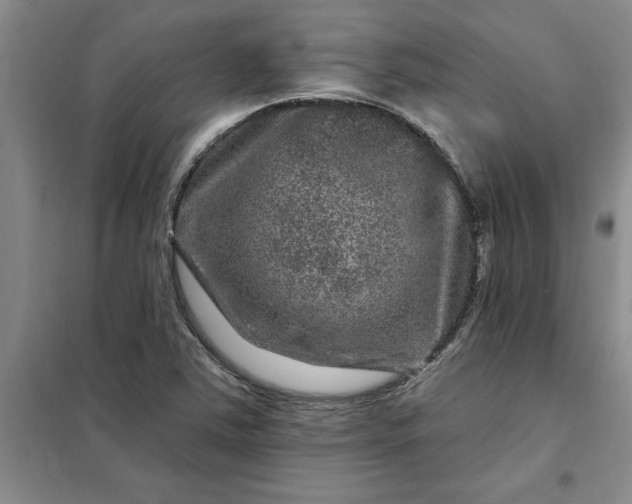 X0000098151363200805011358