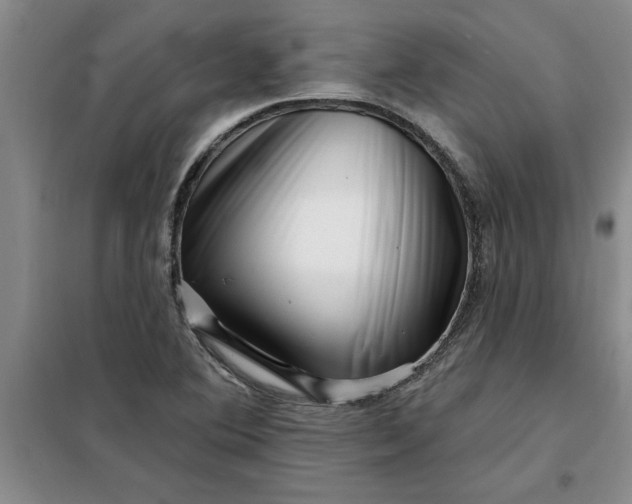 X0000098151364200805011358