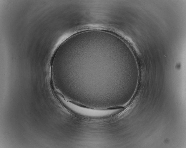 X0000098151365200805011358