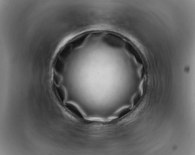 X0000098151366200805011358