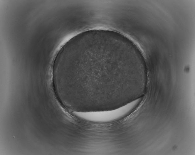 X0000098151367200805011358