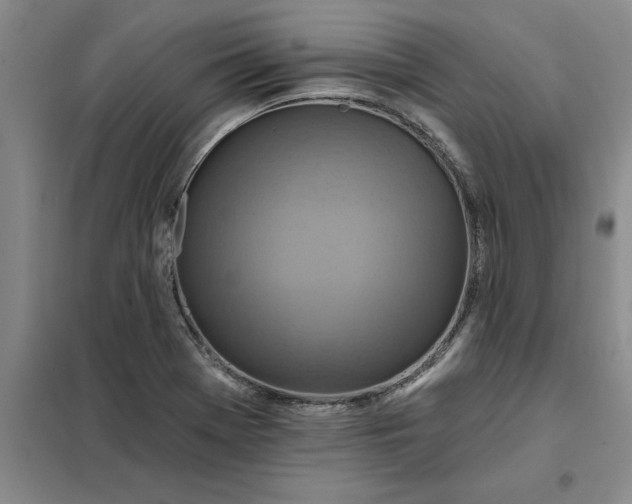 X0000098151369200805011358