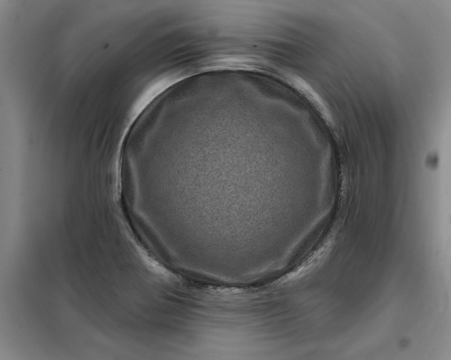 X0000098151370200805011358