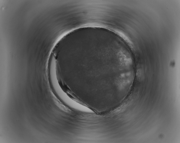 X0000098151372200805011358