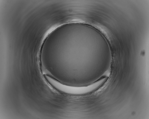 X0000098151373200805011358