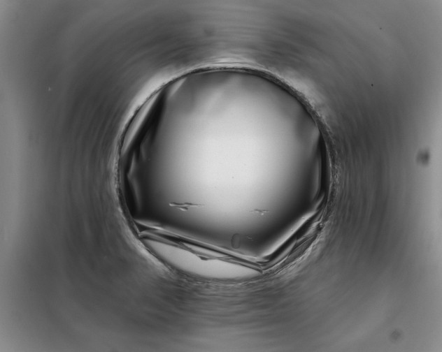 X0000098151374200805011358