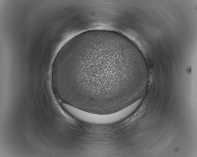 X0000098151375200805011358