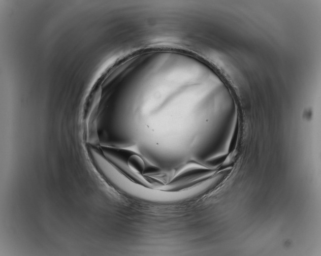 X0000098151376200805011358