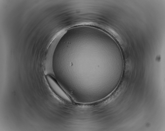 X0000098151377200805011358