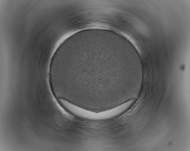 X0000098151379200805011357
