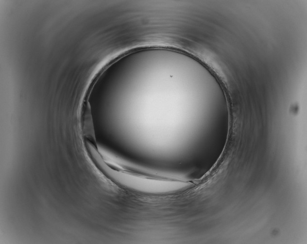 X0000098151380200805011357