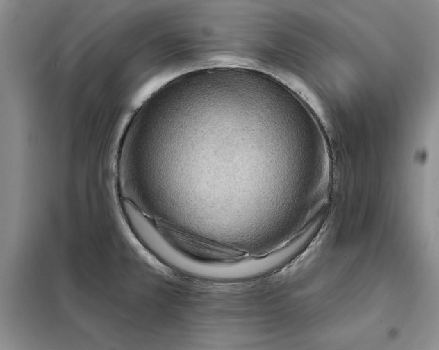 X0000098151381200805011357