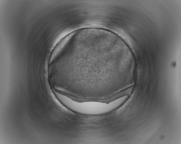X0000098151382200805011357