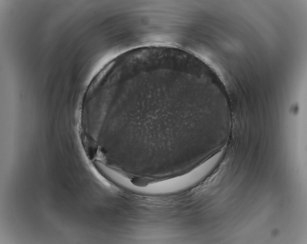 X0000098151383200805011357