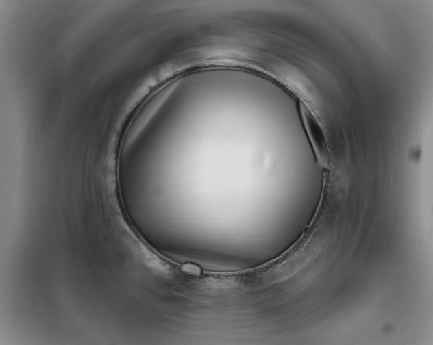 X0000098151384200805011357