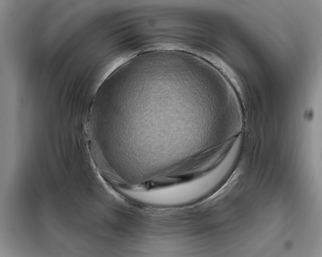 X0000098151385200805011357