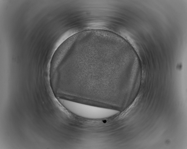 X0000098151386200805011357