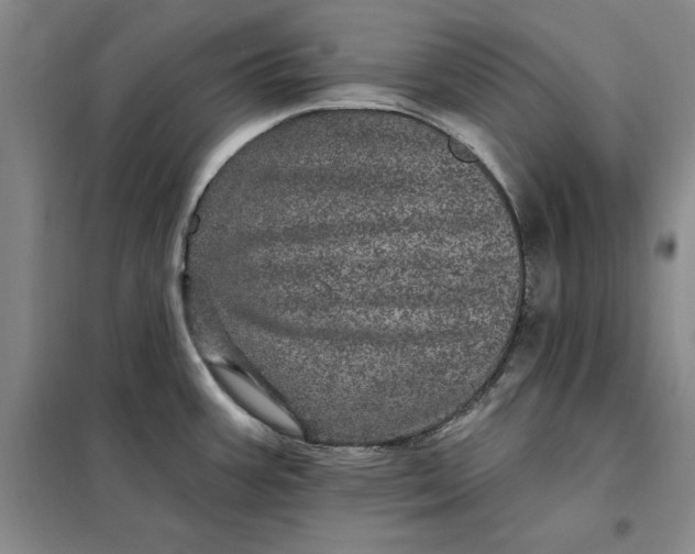 X0000098151387200805011357