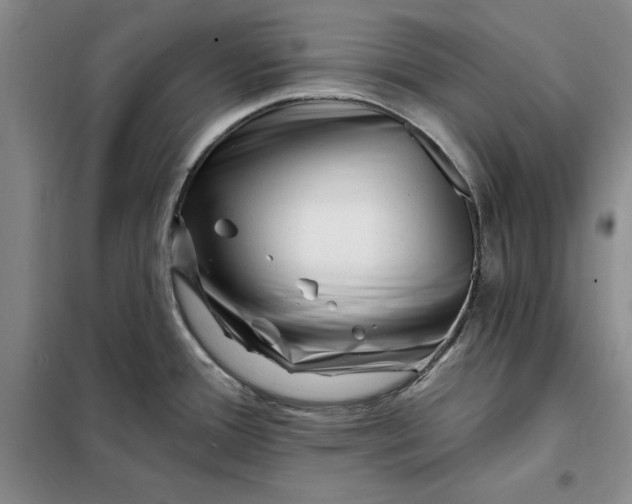 X0000098151388200805011357