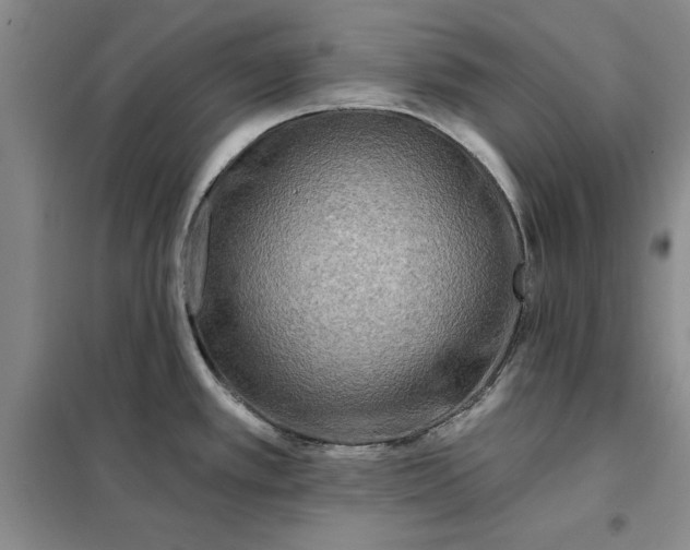 X0000098151389200805011357