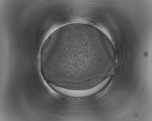 X0000098151391200805011357