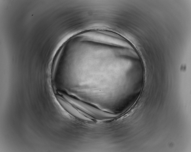 X0000098151392200805011357