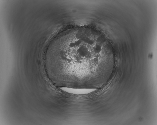 X0000098151393200805011356