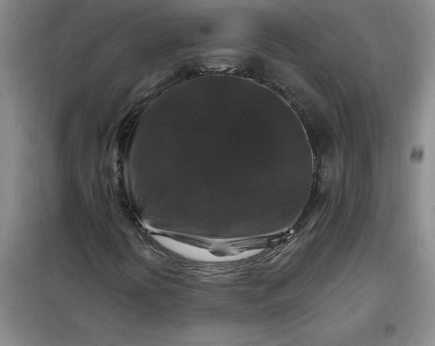 X0000098151394200805011356