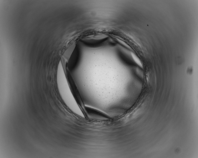 X0000098151396200805011357