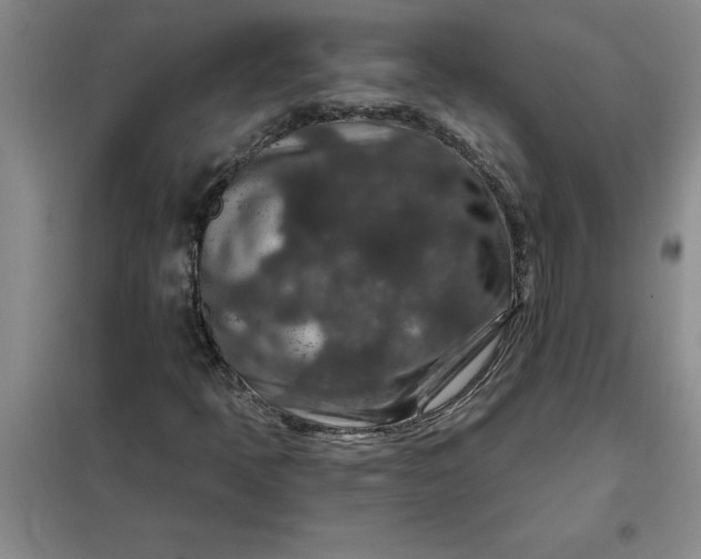 X0000098151397200805011357