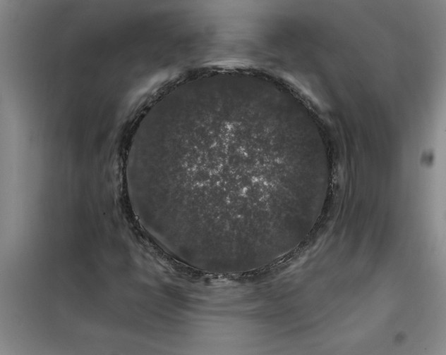X0000098151398200805011357