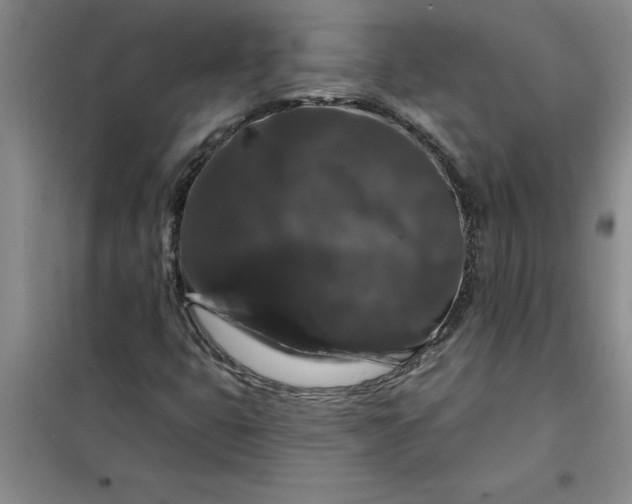 X0000098151399200805011357