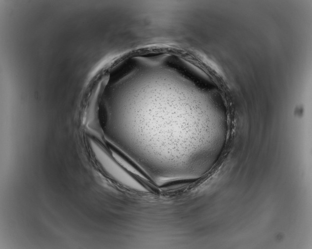 X0000098151400200805011357