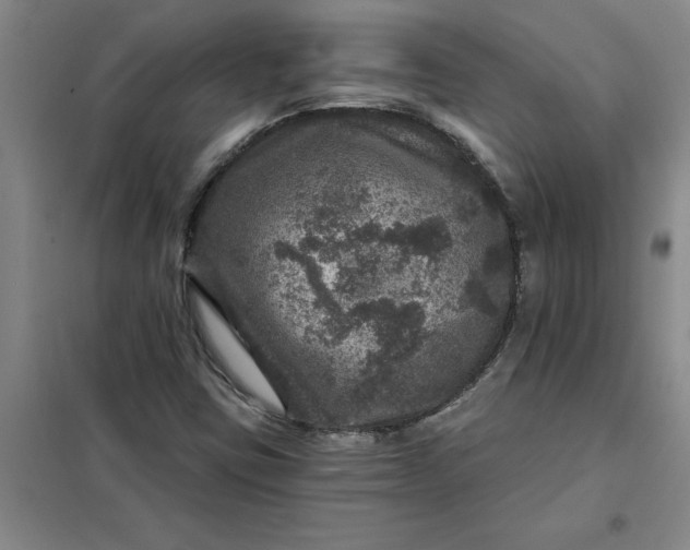 X0000098151403200805011357
