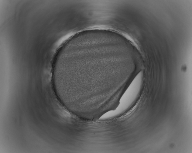 X0000098151406200805011357