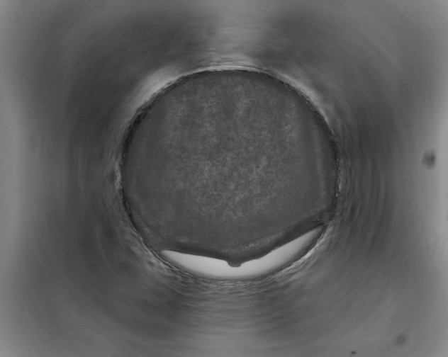 X0000098151407200805011357