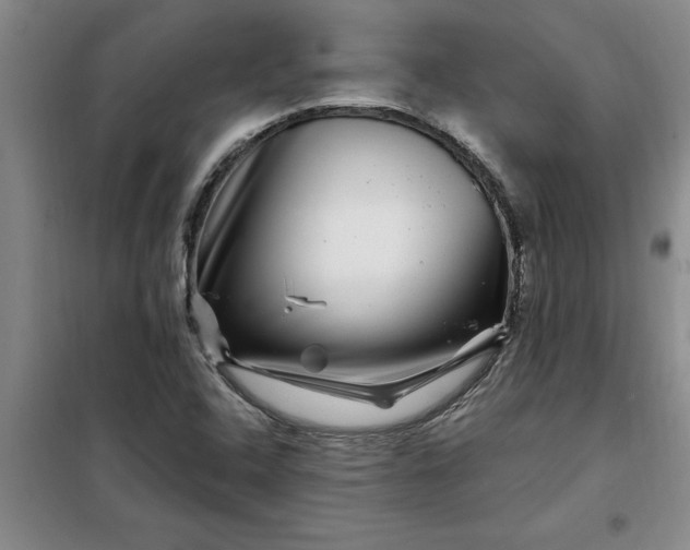 X0000098151408200805011357