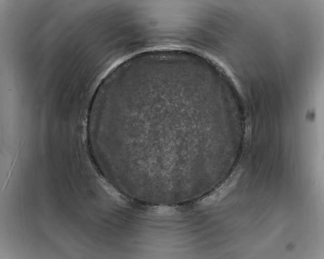 X0000098151409200805011357