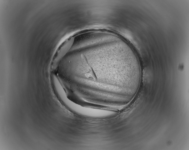 X0000098151412200805011357