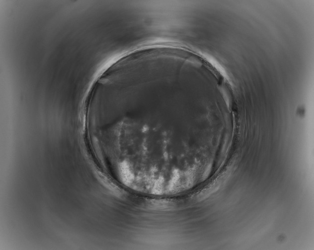 X0000098151413200805011357